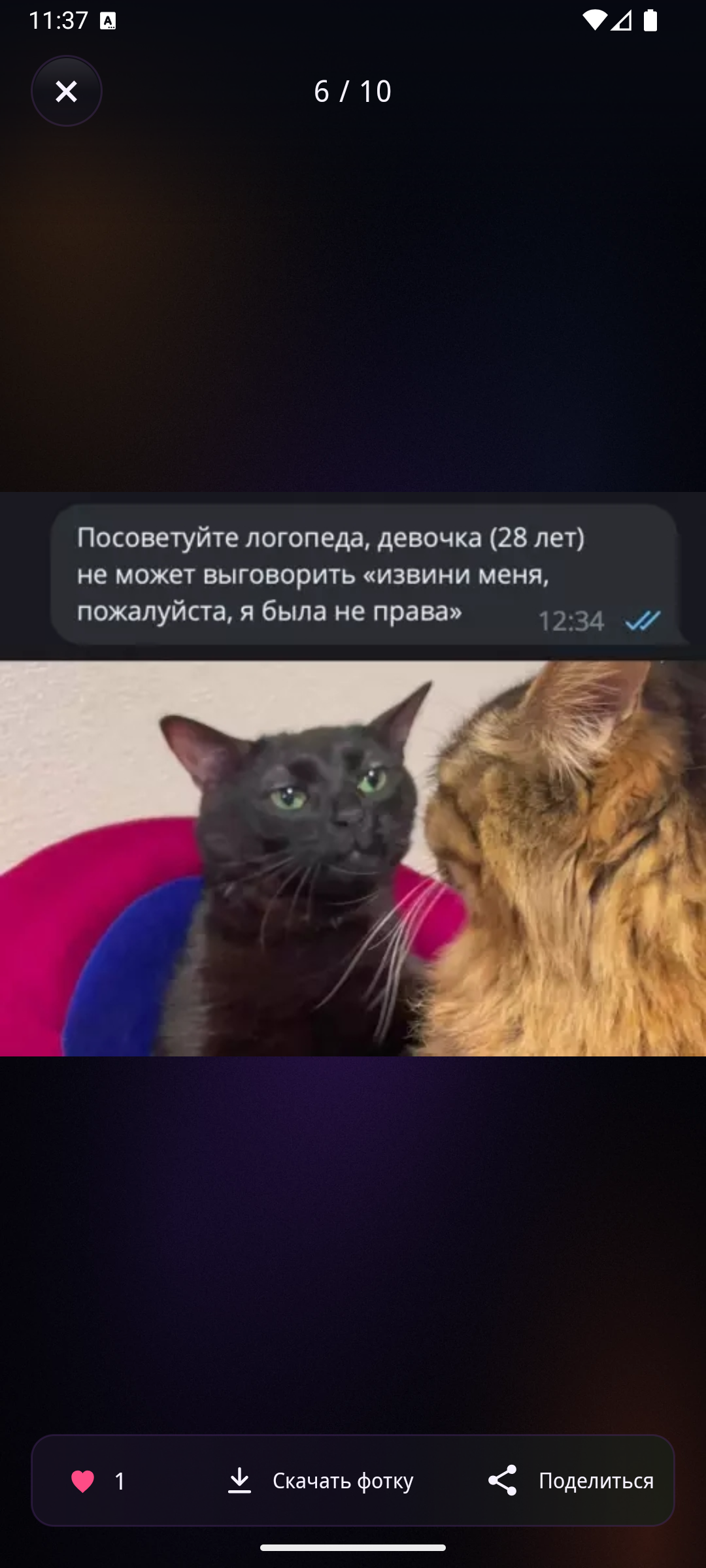 Отборные приколы — скриншот