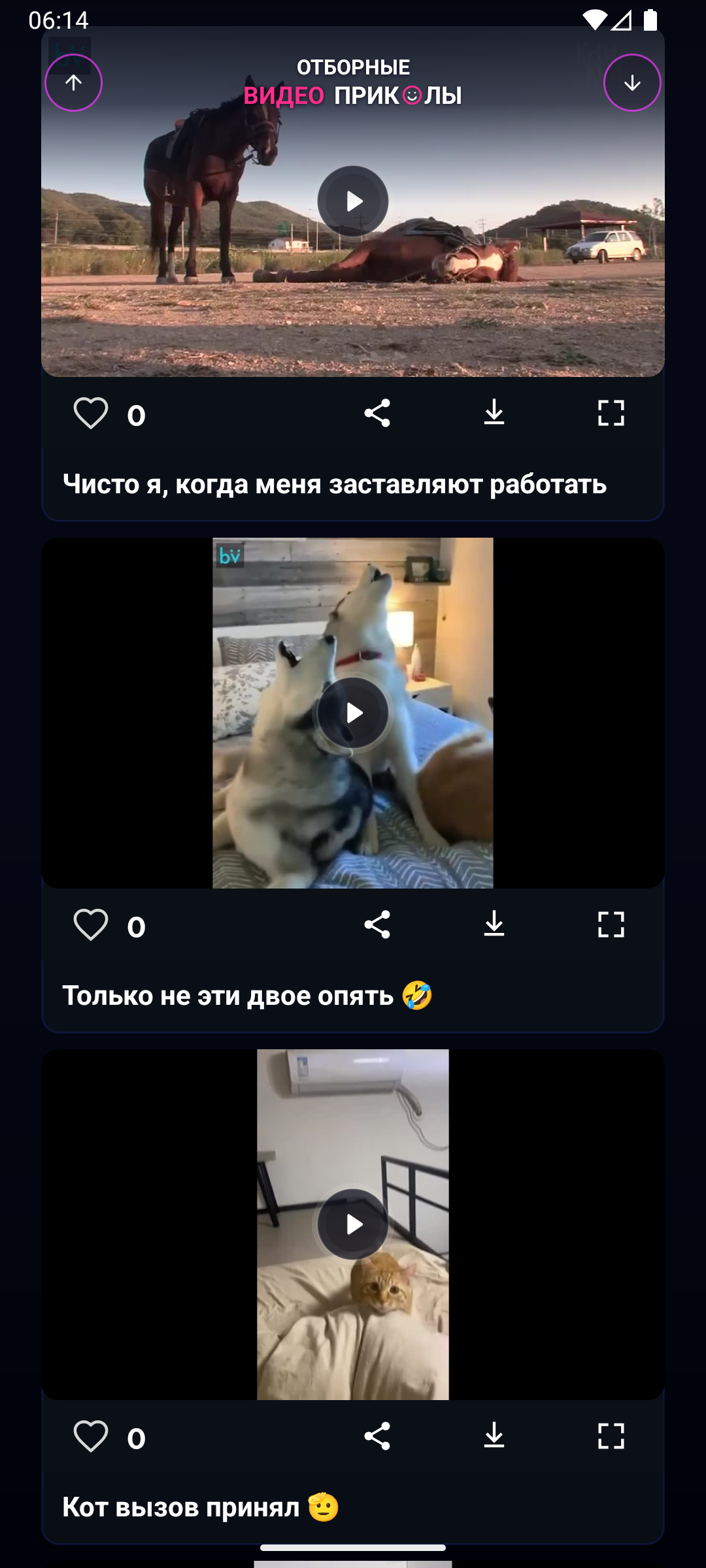 Отборные видео приколы — скриншот